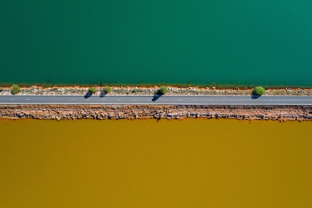 Shortlisted: The Life: A narrow strip, Río Tinto, Huelva, Spain. A narrow strip of road divides ochre-coloured and fresh waters. Trees wait on the fresh side of the road opposite the toxic waters of a nearby mine reservoir. (Photo by Roberto Bueno/CIWEM Environmental Photographer of the Year 2021)
