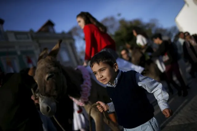 A donkey is led by a child during the procession of the “Virgem da Atalaia” procession during Holy Week at Alcochete, near Lisbon, Portugal March 27, 2016. (Photo by Rafael Marchante/Reuters)