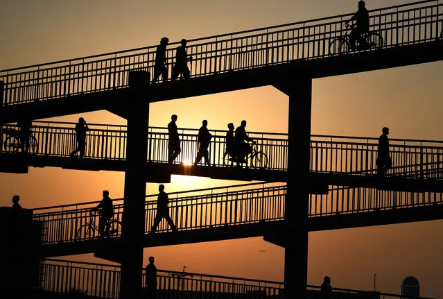 Asian labourers cross a pedestrian bridge in Dubai on August 7, 2019, as they head to work at a vegetable market. (Photo by Karim Sahib/AFP Photo)