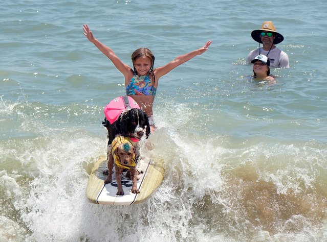 Ellis Lamb, 9, surfs with her dogs Charlie Brown and Maui as Kenneth and Finley Lamb look on during the Hang 8 Dog Surfing Extravaganza on Flagler Beach, Fla. on June 8, 2024. (Photo by Nigel Cook/News-Journal via USA TODAY Network)