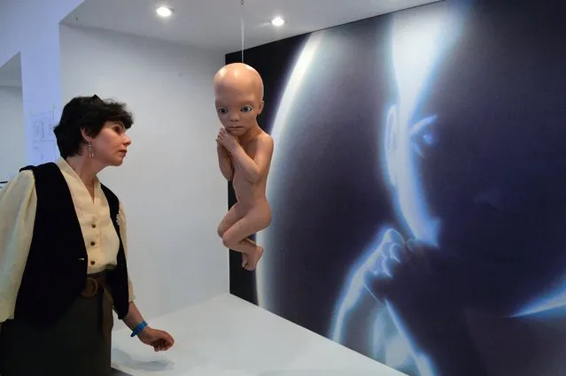 A woman looks at the Starchild figure from the film “2001: A Space Odyssey” displayed at an exhibition dedicated to US director Stanley Kubrick (1928-1999) at the National Museum in Cracow, Poland, 29 April 2014. The exhibition about the life and work of film director, screenwriter and producer will be open to the public from 4 May to 14 September. (Photo by Jacek Bednarczyk/EPA)