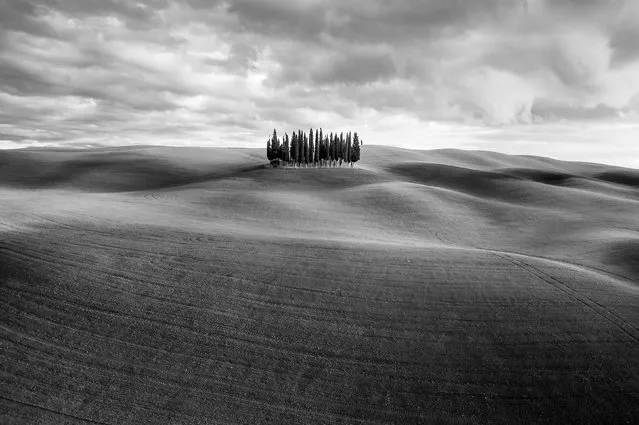 A landscape with trees in San Quirico d’orcia, Tuscany, Italy. The gold winner in the nature art category. (Photo by Federico Testicia/World Nature Photography Awards)
