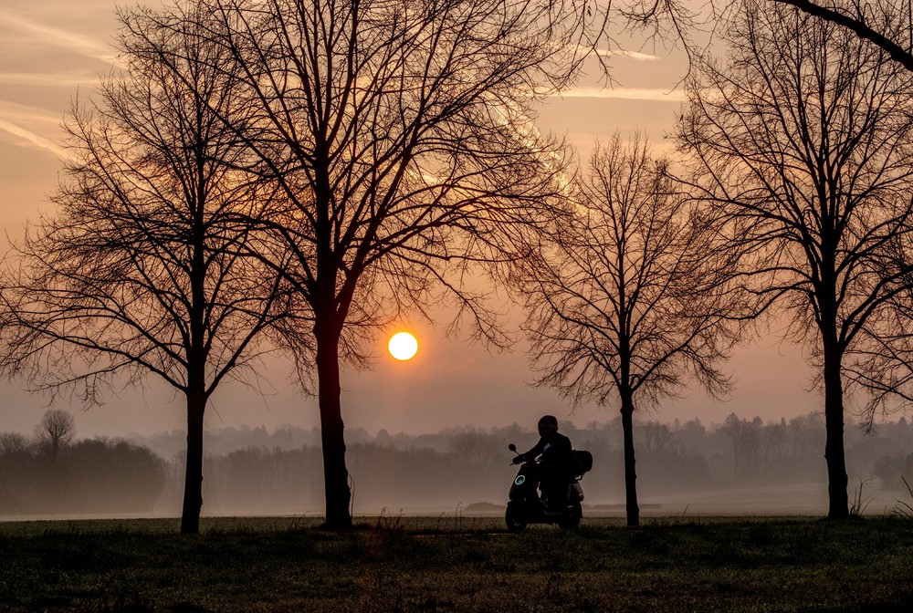 Some Photos: Foggy Day