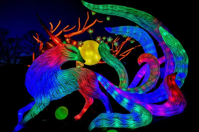Light sculptures glow in the dark at the zoo in Cologne, Germany, 04 December 2019. (Photo by Sascha Steinbach/EPA/EFE)