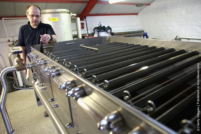 Bose Mathias, checks the temperature during a cooling process   at Edradour distillery on March 26, 2012 in Pitlochry