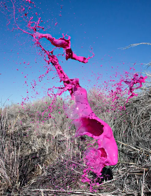 “Pink Sticks”. (Photo by Floto/Warner)