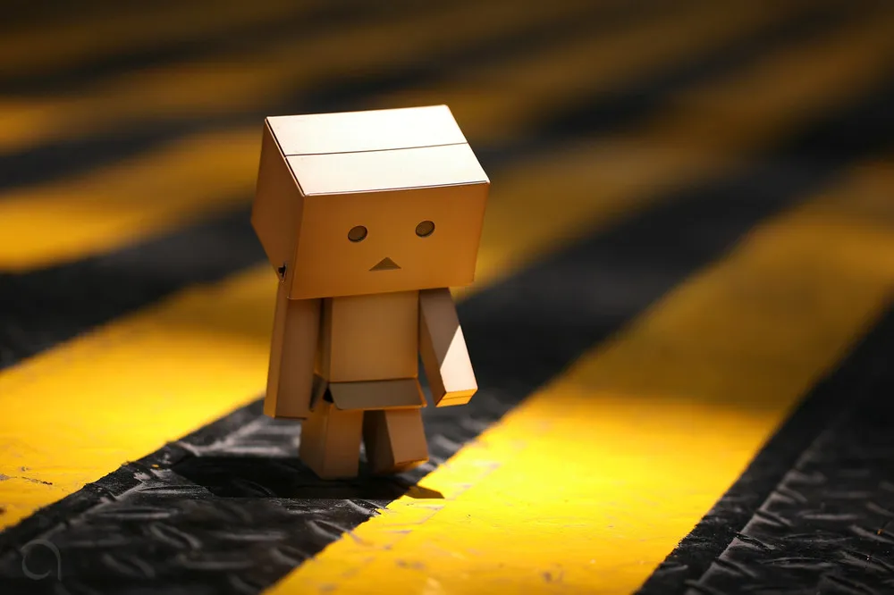 Wonderful Danbo!