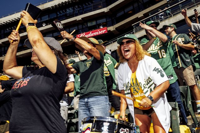 Esperanza Uruena, right, drums in reaction to a scoring play during the fifth inning of a baseball game between the Oakland Athletics and the Texas Rangers in Oakland, Calif., Thursday, September 26, 2024. (Photo by Stephen Lam/San Francisco Chronicle via AP Photo)