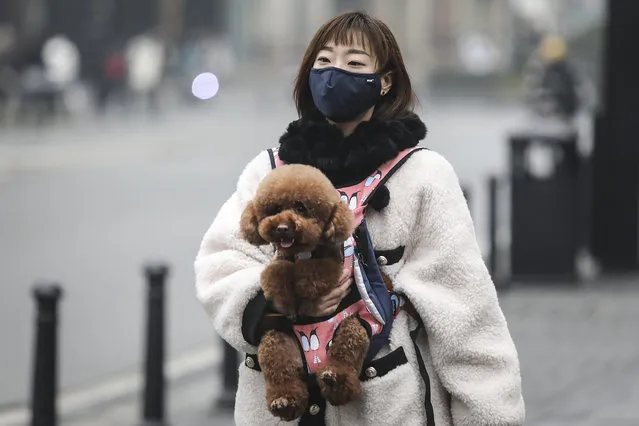 A woman wears a mask while carrying a dog in the street on January 22, 2020 in Wuhan, Hubei province, China. A new infectious coronavirus known as “2019-nCoV” was discovered in Wuhan as the number of cases rose to over 400 in mainland China. Health officials stepped up efforts to contain the spread of the pneumonia-like disease which medicals experts confirmed can be passed from human to human. The death toll has reached 17 people as the Wuhan government issued regulations today that residents must wear masks in public places. Cases have been reported in other countries including the United States, Thailand, Japan, Taiwan, and South Korea. (Photo by Getty Images/China Stringer Network)