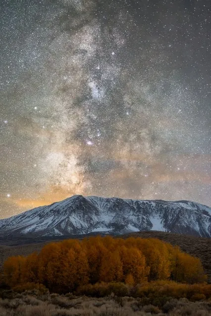 “Fall Milk”, Brandon Yoshizawa (USA). The snow-clad mountain in the Eastern Sierras, California, towers over the rusty aspen grove aligned perfectly in front of it, whilst our galaxy, the Milky Way, glistens above. (Photo by Brandon Yoshizawa/National Maritime Museum/The Guardian)