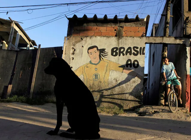 A man rides a bicycle next to a wall with graffiti depicting Brazilian soccer player Ronaldinho in Vila Autodromo slum in Rio de Janeiro, Brazil April 19, 2012. (Photo by Ricardo Moraes/Reuters)