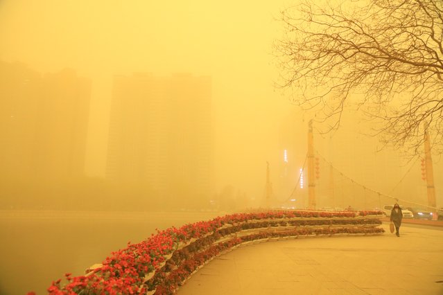 A woman wearing mask walks amid a sandstorm on March 26, 2025 in Korla, Bayingolin Mongol Autonomous Prefecture, Xinjiang Uygur Autonomous Region of China. Korla meteorological bureau on Wednesday afternoon renewed an orange alert for sandstorms. (Photo by VCG/VCG via Getty Images)