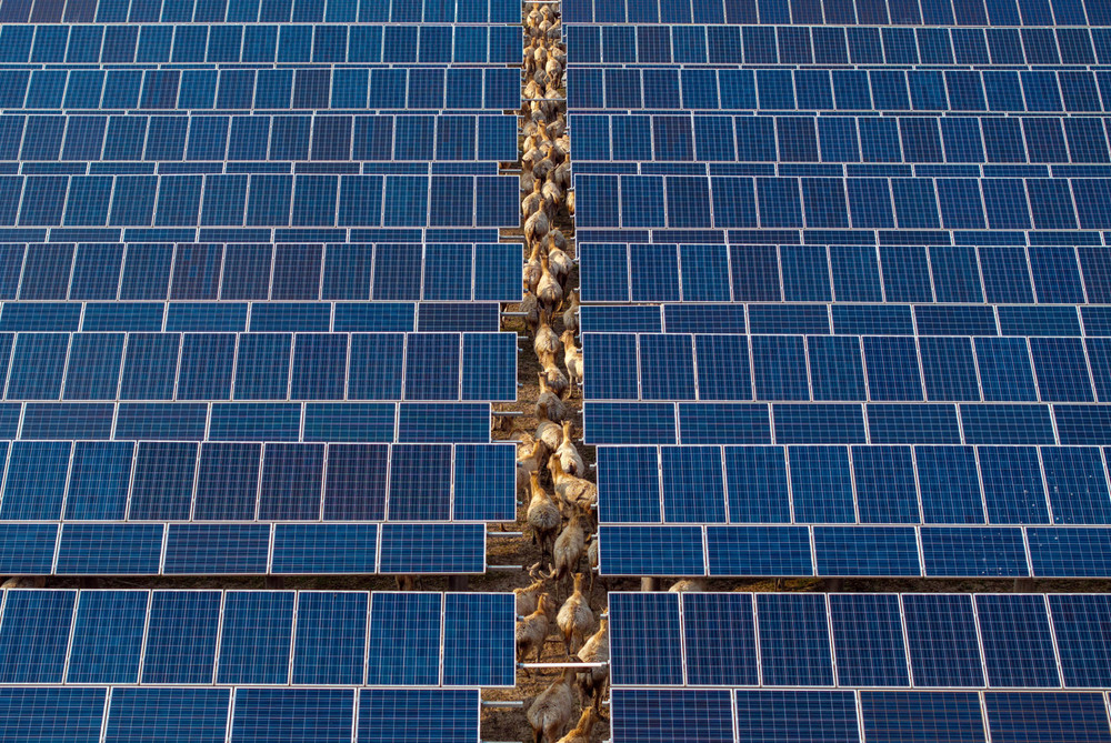 A Look at Life in China