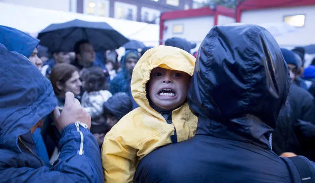 A refugee child cries in the cold temperatures and rain at the State Office for Health and Social Affairs (LaGeSo) in Berlin, Germany, 15 October 2015. Refugees are waiting there for registration and the allocation of sleeping places. (Photo by Kay Nietfeld/EPA)