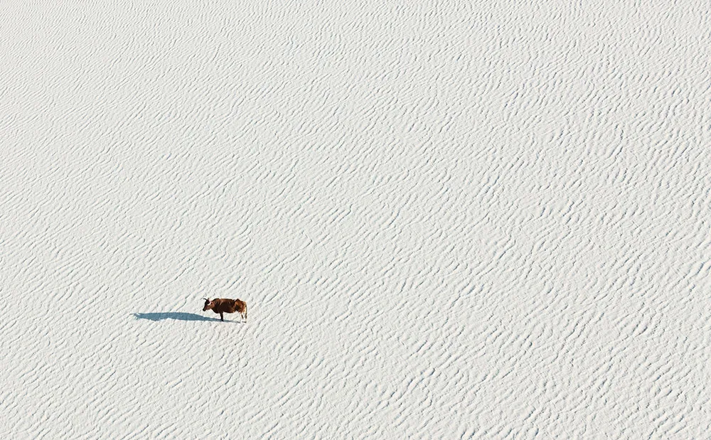 Botswana by Zack Seckler