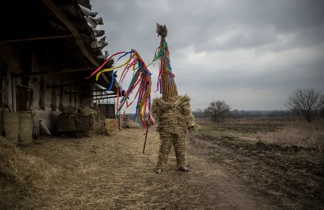 A boy dressed in hay suit is prepared for an Easter procession called “Marching Judas” in the village of Stradoun, Czech Republic, 31 March 2018. On the morning of the Holy Saturday, people from the village gather at the local cow house to dress up the oldest teenager boy in the village in hay suit and put on his head a high cap from reed, the boy in this suit symbolizes Judas who betrayed Jesus Christ. After that, young boys push wooden rattles and walk through the village house by house and recite carol about Judas betray. This old Czech Easter tradition, which occur in few villages in Pardubice region, was registred in the UNESCO List of the Intagible Cultural Heritage of Humanity in 2012. (Photo by Martin Divisek/EPA/EFE)