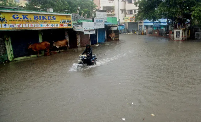 Indian motorist drives through flood waters following heavy rain in Chennai, India, 25 November 2020. Cyclone Nivar to make landfall in Tamil Nadu and in Puducherry on 25 November and 1,200 National Disaster Response Force (NDRF) personnel are on alert for any rescue work as India Meteorological Department also predicted heavy to very heavy rain in the affected area. (Photo by Babu/EPA/EFE)