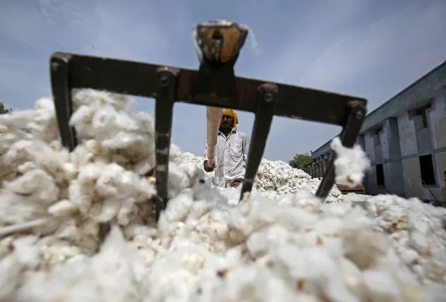An employee works at a cotton processing unit in Kadi town, in the western Indian state of Gujarat, India, April 5, 2018. (Photo by Amit Dave/Reuters)