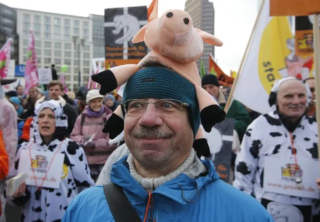 A demonstrators takes part in a German farmers and consumer rights activists march to protest against the Transatlantic Trade and Investment Partnership (TTIP), mass husbandry and genetic engineering in Berlin, January 17, 2015. (Photo by Fabrizio Bensch/Reuters)
