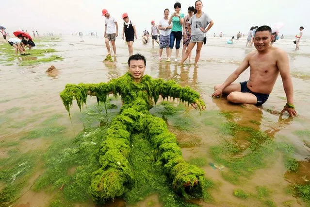A man covers himself with algae as he poses for photographs on a beach in Qingdao, Shandong province, China, on July 24, 2013. (Photo by Reuters/China Daily)