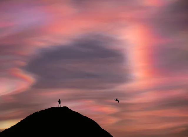 A man stands on top of a hill as ice particle iridescence is seen in high-level Nacreous clouds on February 02, 2016 in Saltburn-by-the-Sea, England. The rare effect is caused by the diffraction of sunlight in the ice crystals that form the Nacreous clouds at high altitudes. (Photo by Ian Forsyth/Getty Images)