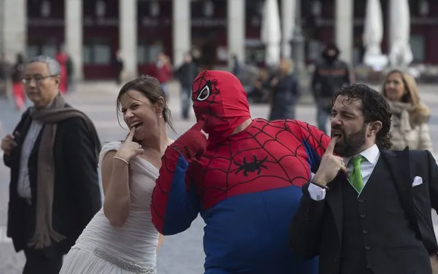 A bride and bridegroom pose with a street performer dressed as Spiderman in Plaza Mayor, Madrid, Spain, Monday, January 20, 2014. The couple were having more informal wedding photos taken by a photographer in the plaza. (Photo by Paul White/AP Photo)