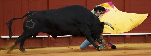 Spanish matador Juan Jose Padilla performs a pass to a bull during a bullfight at The Maestranza bullring in the Andalusian capital of Seville, southern Spain April 25, 2015. (Photo by Marcelo del Pozo/Reuters)