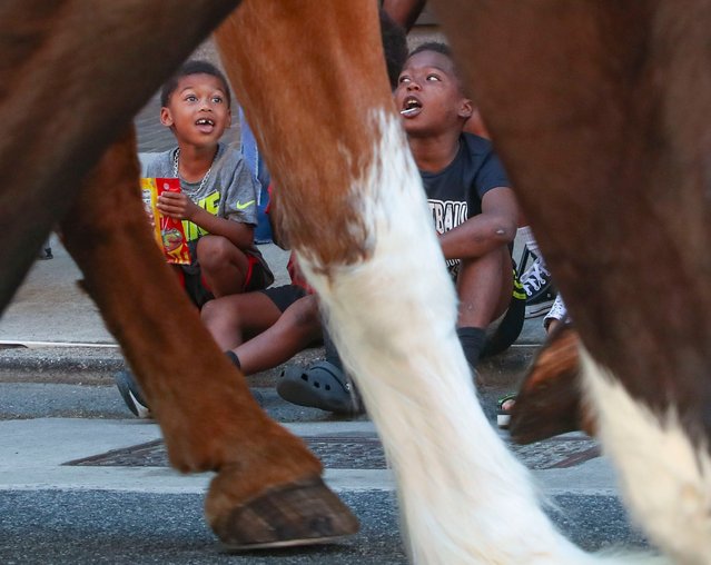 Children watch as the New Castle County Police mounted patrol passes during the Delaware Juneteenth Association parade along King Street in Wilmington preceding the Juneteenth Festival on Saturday, June 15, 2024. (Photo by William Bretzger/Delaware News Journal)