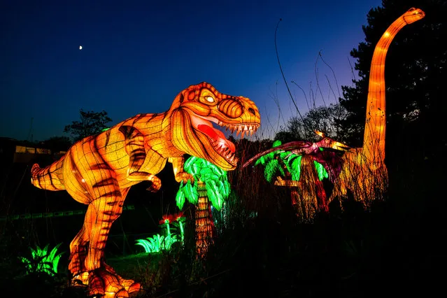 Light sculptures glow in the dark at the zoo in Cologne, Germany, 04 December 2019. (Photo by Sascha Steinbach/EPA/EFE)