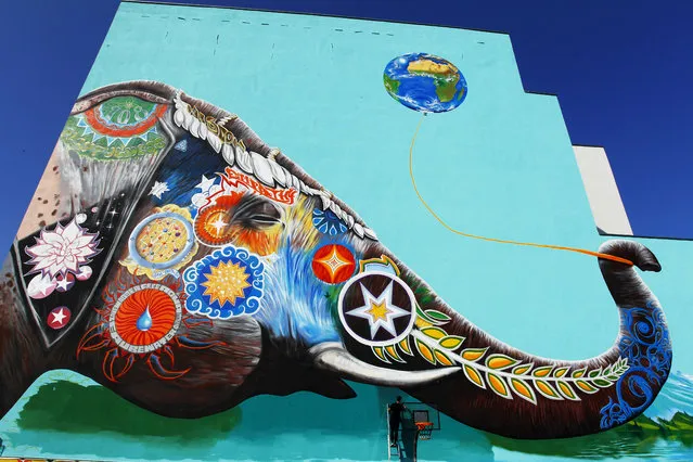 German Artist Jadore Tong puts the finishing touches on a huge mural painting featuring a colorful elephant on a house after four weeks of work on April 10, 2017 in Berlin. (Photo by Michele Tantussi/AFP Photo)
