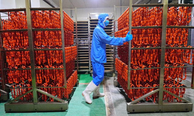 An employee produces crispy sausages at a workshop in Suining, Sichuan province, China, on August 10, 2024. (Photo by Costfoto/NurPhoto/Rex Features/Shutterstock)