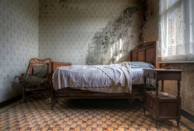 Moldy Morning – Mold is spreading fast in this abandoned farmhouse. (Photo by Niki Feijen)