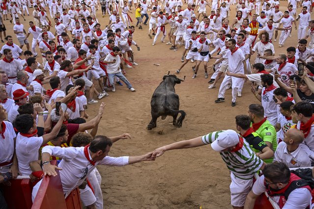 Revelers stand around the cow as it enters the bull ring at the end of the fourth running of the bulls during the San Fermin fiestas in Pamplona, Spain, Monday, July 10, 2023. (Photo by Alvaro Barrientos/AP Photo)