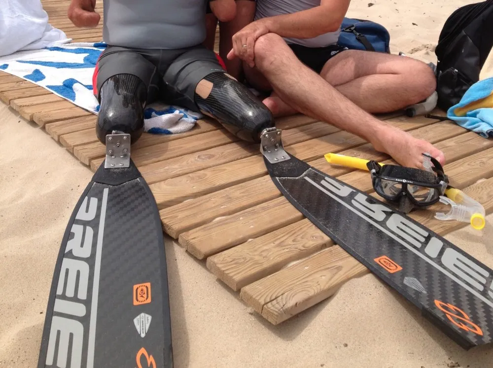 Applications of Bionics in Sports