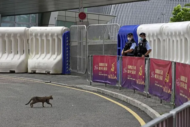 A cat crosses a road as police officers stand guard outside the high speed train station for the Chinese president Xi Jinping's visit to mark the 25th anniversary of Hong Kong handover to China, in Hong Kong, Thursday, June 30, 2022. (Photo by Kin Cheung/AP Photo)