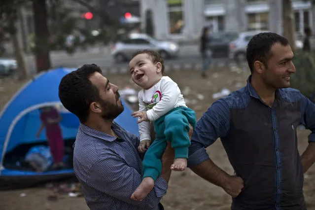 A migrant from Syria plays with his toddler at a park in Belgrade, Serbia, Thursday, August 27, 2015. Over 10,000 migrants, including many women with babies and small children, have crossed into Serbia over the past few days and headed toward Hungary and the EU Schengen Area, a zone with no internal border checks between member countries. (Photo by Marko Drobnjakovic/AP Photo)