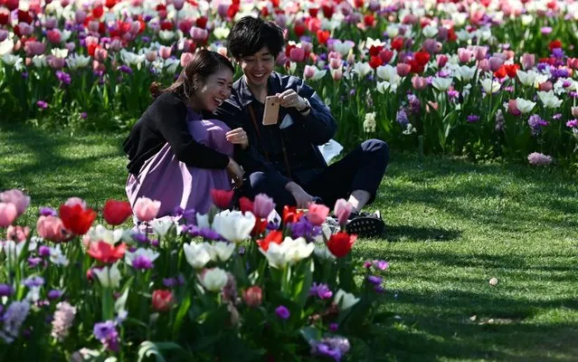 People talk during a sunny day at Yamashita park in Yokohama on April 4, 2020. (Photo by Charly Triballeau/AFP Photo)