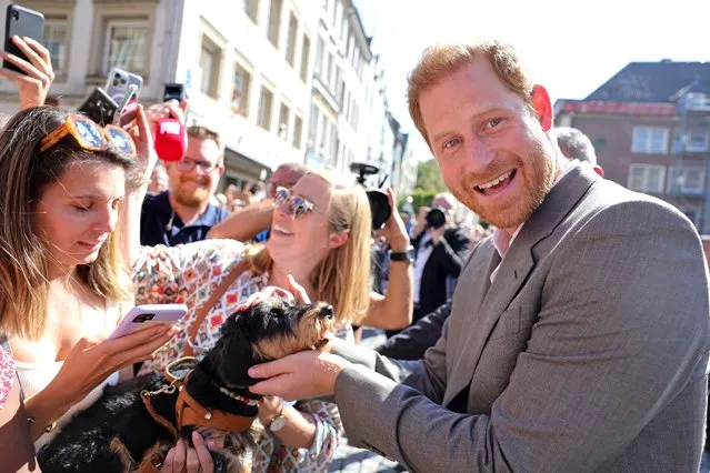 Prince Harry, Duke of Sussex is greeted by well-wishers and pets a dog outside the town hall during the Invictus Games Dusseldorf 2023 – One Year To Go events, on September 06, 2022 in Dusseldorf, Germany. The Invictus Games is an international multi-sport event first held in 2014, for wounded, injured and sick servicemen and women, both serving and veterans. The Games were founded by Prince Harry, Duke of Sussex who's inspiration came from his visit to the Warrior Games in the United States, where he witnessed the ability of sport to help both psychologically and physically. (Photo by Chris Jackson/Getty Images for Invictus Games Dusseldorf 2023)