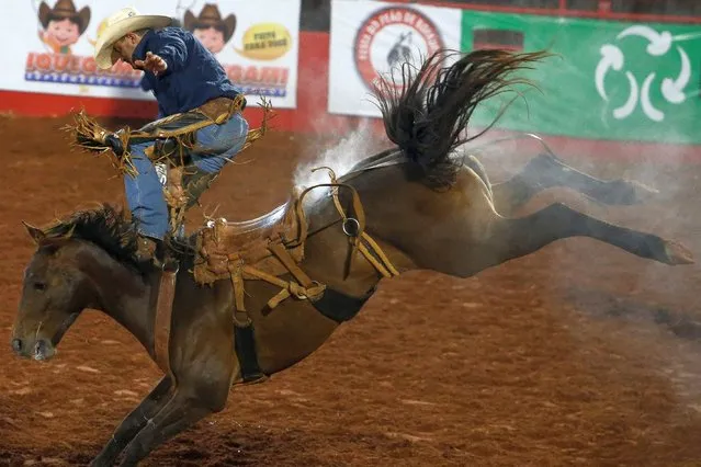 A cowboy holds onto the reins of his horse during the Festa do Peao de Barretos (Cowboy Festival of Barretos) in Barretos, Brazil, on August 26, 2022. Combining rodeo, music, religious devotion and right-wing slogans such as “God, Fatherland, Family”, the Cowboy Festival of Barretos drew thousands of spectators. (Photo by Miguel Schincariol/AFP Photo)