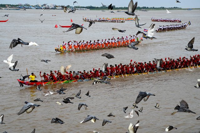 Pigeons fly past as participants row dragon boats during a competition as part of the Water Festival on the Tonle Sap river in Phnom Penh on November 26, 2023. (Photo by Tang Chhin Sothy/AFP Photo)