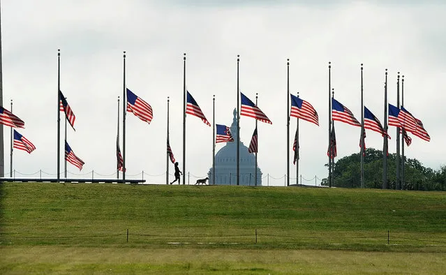 U.S. flags fly at half-staff on the National Mall to commemorate the victims of the coronavirus disease (COVID-19) in Washington, U.S., May 23, 2020. (Photo by Mary F. Calvert/Reuters)