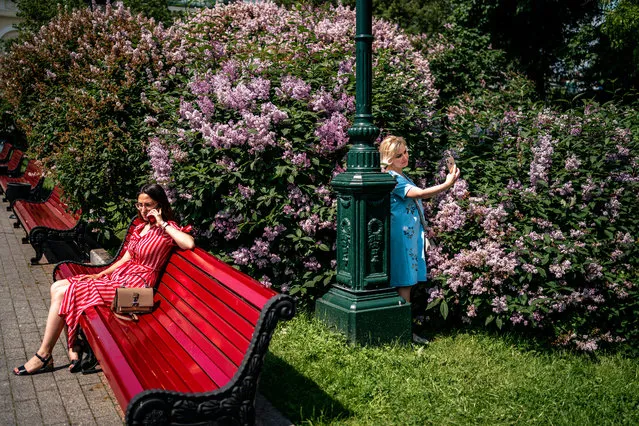 Women enjoy a warm and sunny day in a park in downtown Moscow on June 9, 2020, on the first day after Moscow lifted a range of anti-coronavirus measures including a strict lockdown set up to curb the spread of the COVID-19 caused by the novel coronavirus. (Photo by Dimitar Dilkoff/AFP Photo)