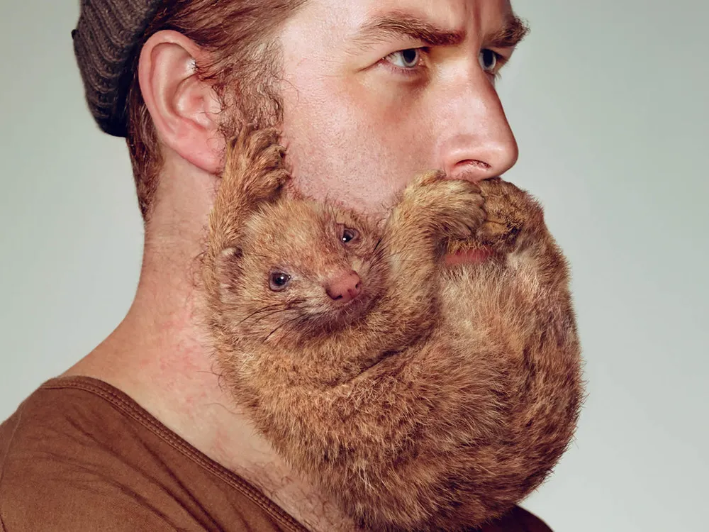 Animal Beards by David Kiefaber