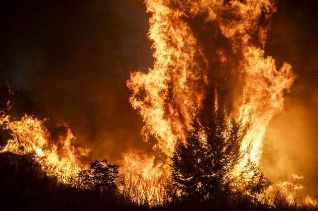 Fire ravages vegetation during the Cerro de los Pinos wildfire on August 04, 2025 in Cáceres, Spain. Firefighters from Cáceres and INFOEX forest firefighters are battling fires, as high temperatures continue to put the Extremadura region at extreme risk of further wildfires. (Photo by Carlos Gil Andreu/Getty Images)