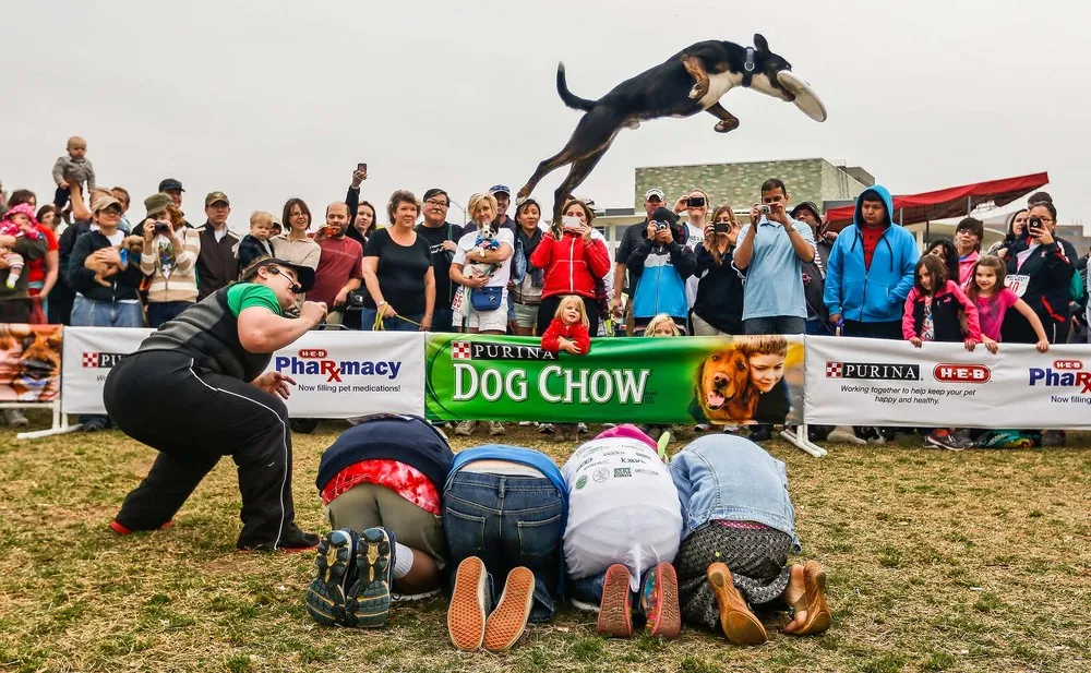 The Week in Pictures: Animals, March 23 – March 29, 2013