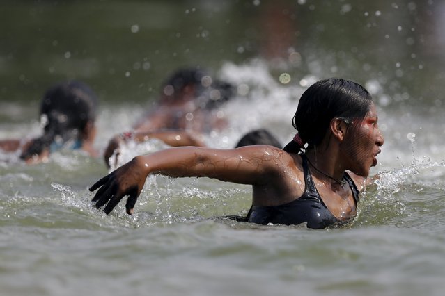 An indigenous woman competes in a swimming competition during the first World Games for Indigenous Peoples in Palmas, Brazil, October 30, 2015. (Photo by Ueslei Marcelino/Reuters)