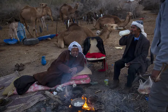 In this Saturday, February 10, 2018 photo, Beduin camels owner Ali El Guran, left, and his camels herder Salem Rashaideh, have their breakfast at the night camp at the territory of Israeli Kibbutz Kalya, near the Dead Sea in the West Bank. (Phoro by Oded Balilty/AP Photo)