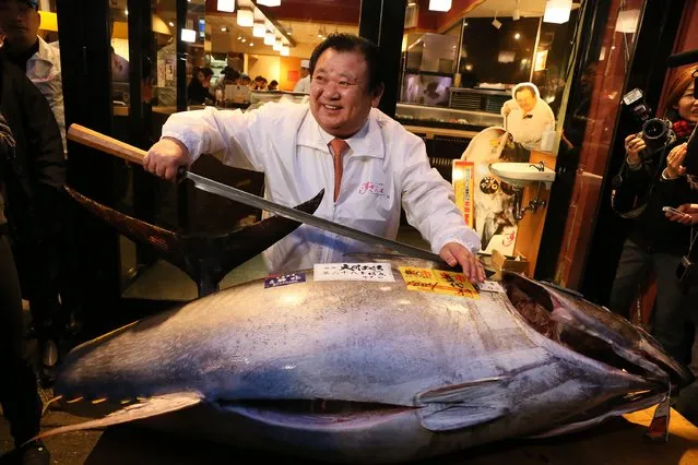 Kiyoshi kimura, president of Kiyomura K.K, poses for photos with a 180.4 kilograms (397 pounds) fresh tuna after this year's first auction at Tsukiji Market on January 5, 2015 in Tokyo, Japan. A fresh whole tuna weighing 180.4 kilograms (397 pounds), sold for 4.51 million yen (approximately $37,500) by Sushi Zanmai, a Tokyo-based sushi chain operator. (Photo by Ken Ishii/Getty Images)