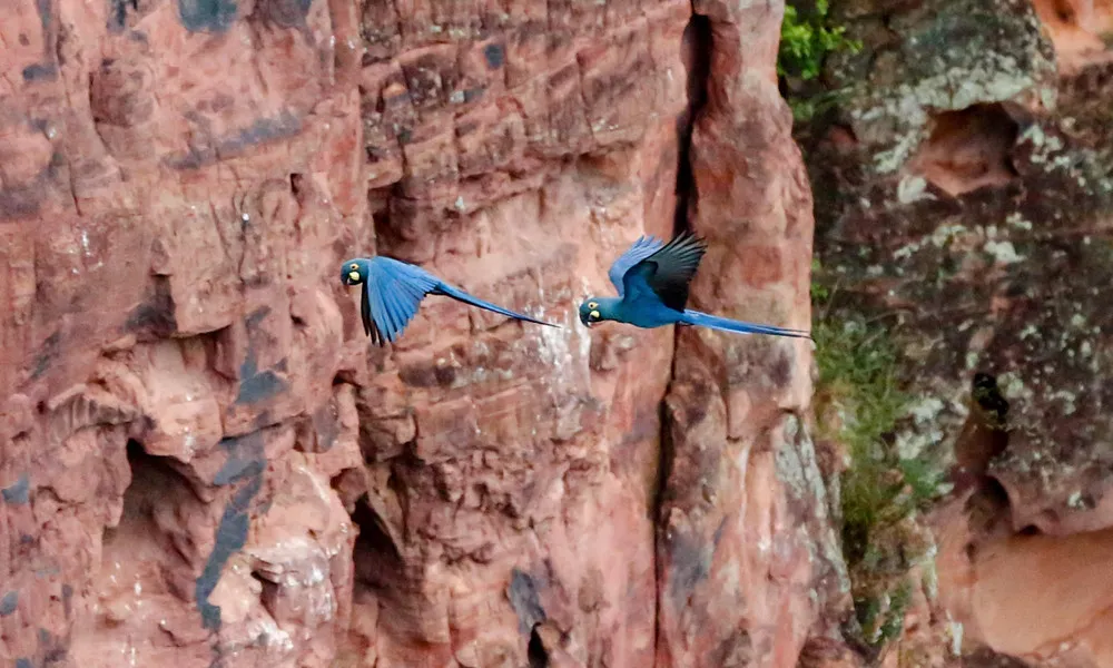 Some Photos: In Motion