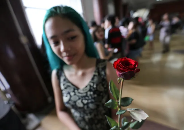 Filipino student Jill Cadilo shows a rose given to her by a member of the Alpha Phi Omega (APO) fraternity during the annual “Oblation run” inside the University of the Philippines in Diliman, northeast of Manila, Philippines, 14 December 2015. Around 20 members of APO fraternity staged the group's annual Oblation Run to highlight the fraternity's stand for the upholding of the “rule of law” against rampant corruption in the government and the rights of the indigenous Lumad people. (Photo by Mark R. Cristino/EPA)